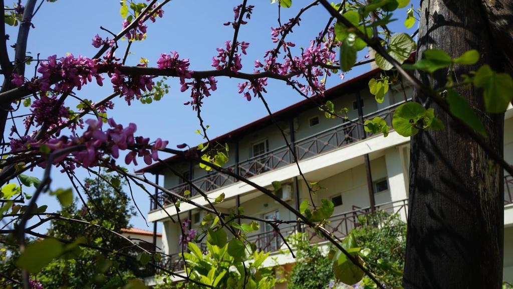Hotel Morfeas photo 2