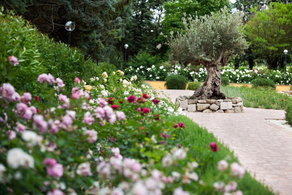 Resort e Spa San Crispino photo 2