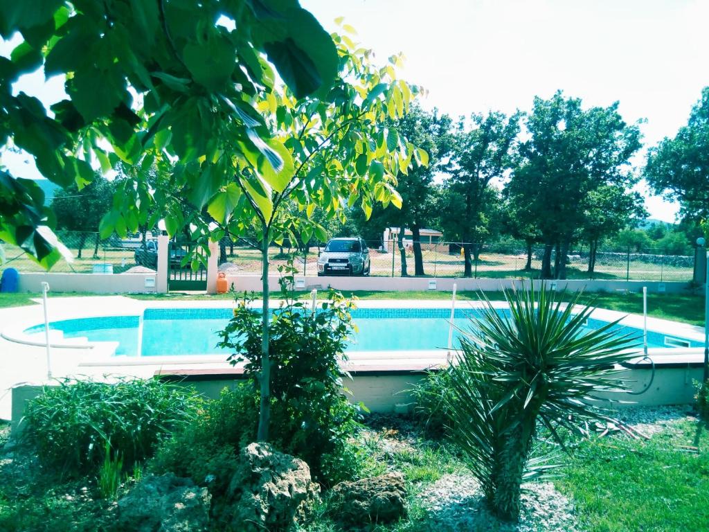 Kaja House Apartments photo 1