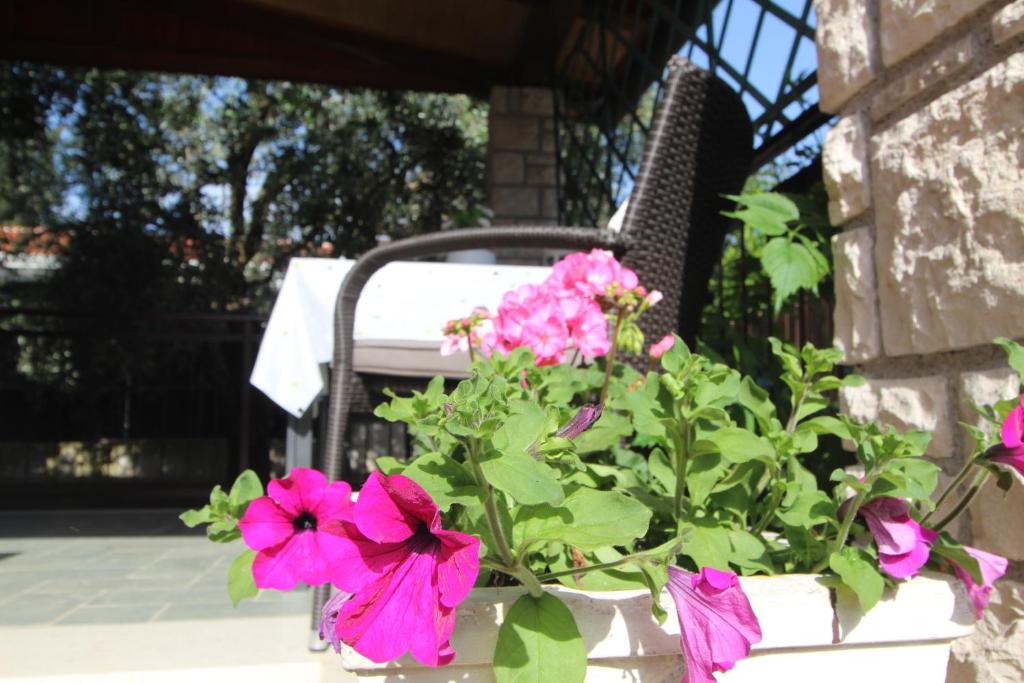 App Sorgo photo 3