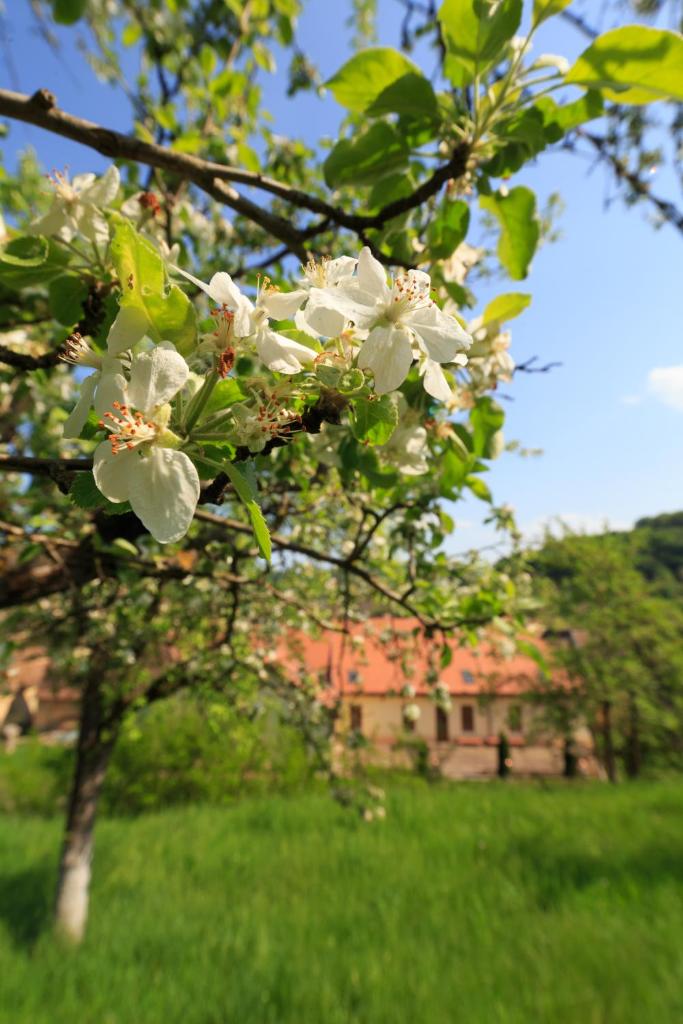Unglerus Guesthouse photo 4