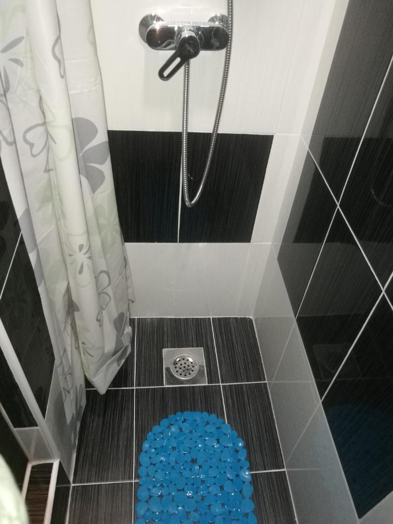 Guesthouse Vila Puzic photo 3