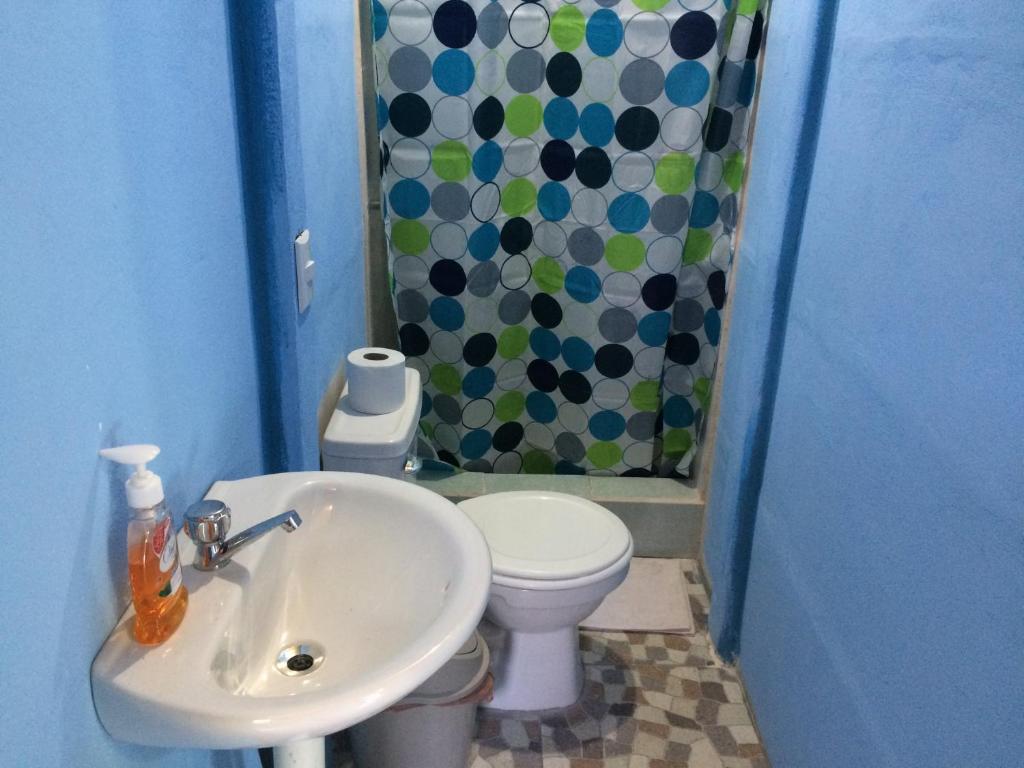 Green Macaw Hostel photo 3