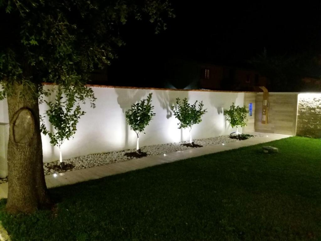 Villa Sabaudia photo 3