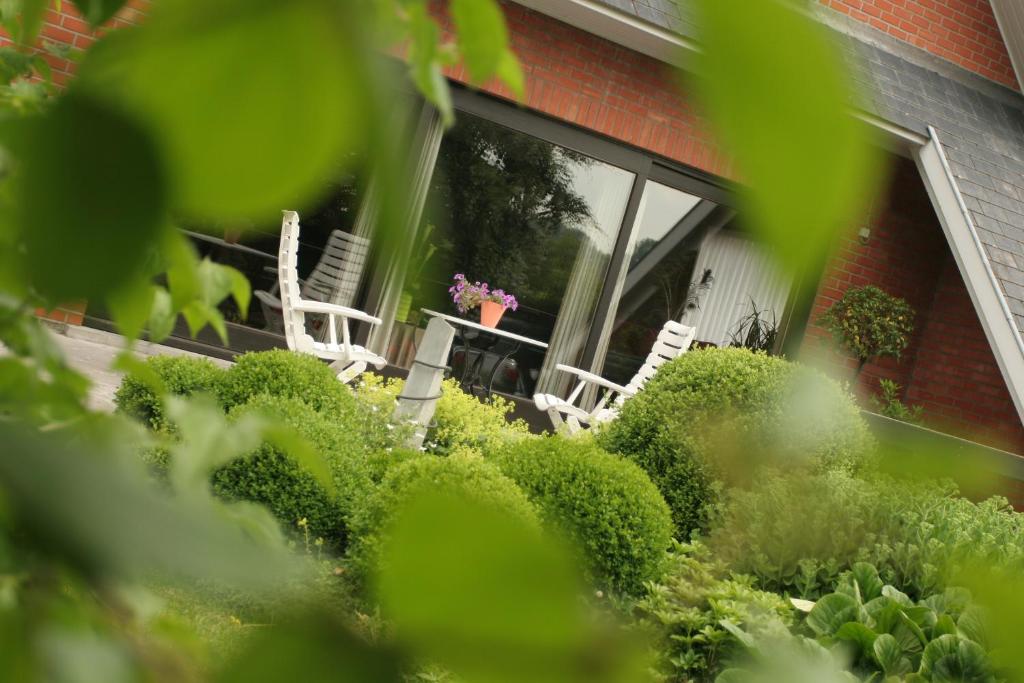 B&B Goudsbloempje photo 1