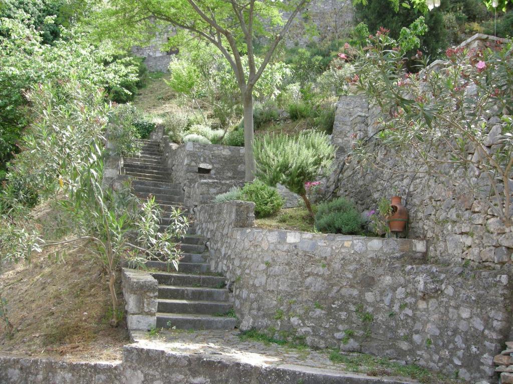 Kria springs photo 3