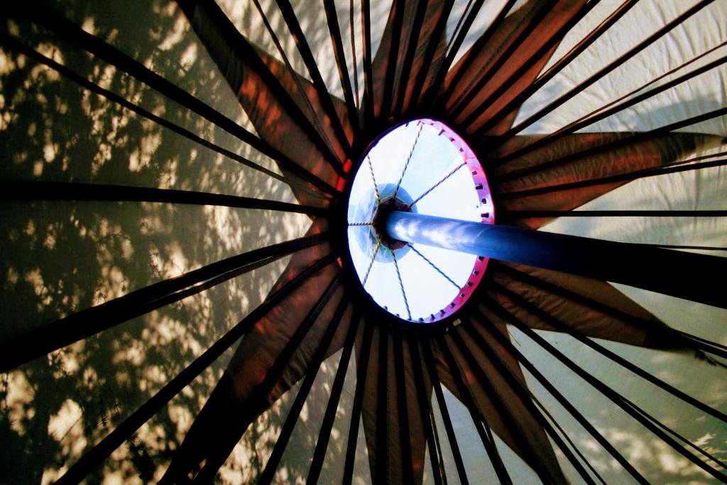 Larkhill Tipis and Yurts - Tap to explore photos