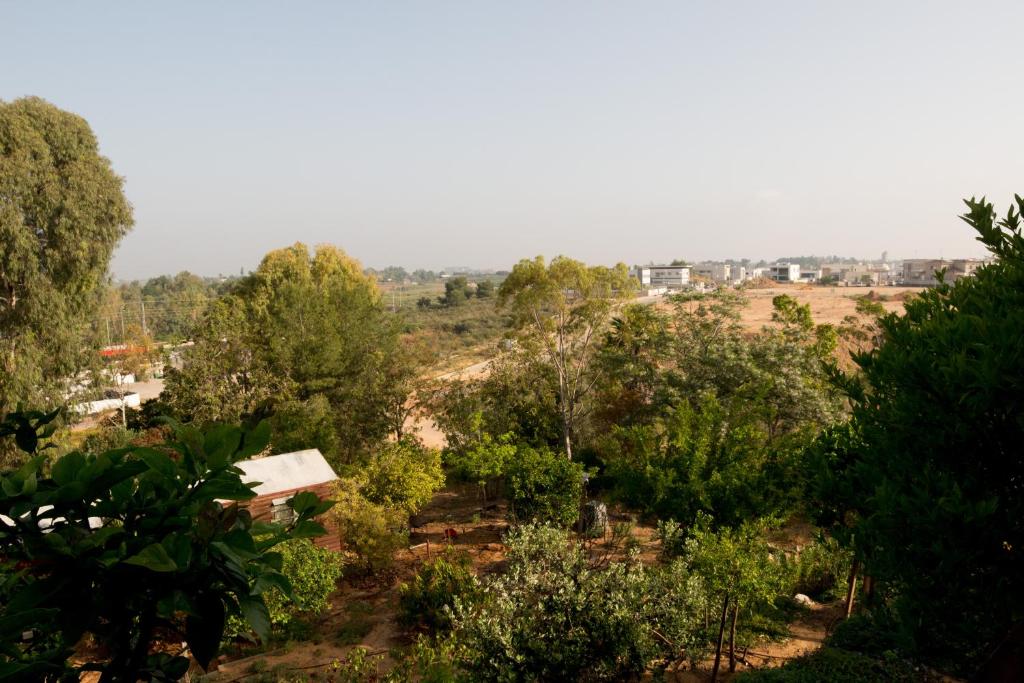 Bait Bagiva photo 2