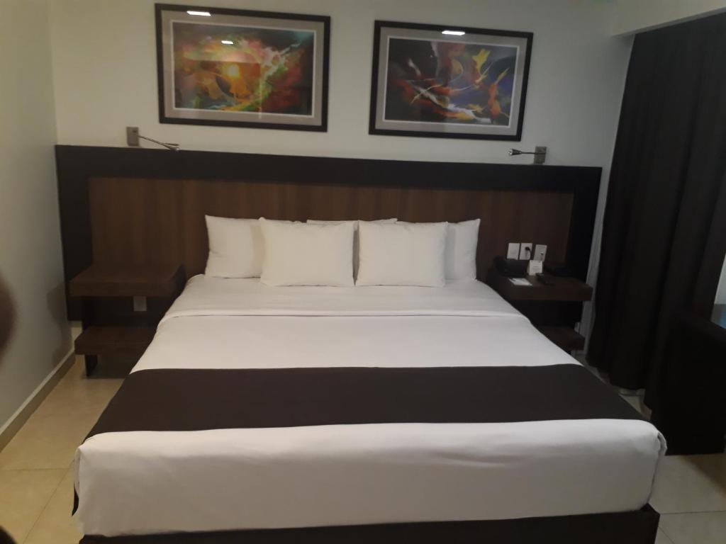 Двухместный (Представительский люкс с кроватью размера «king-size»), Hotel & Suites PF