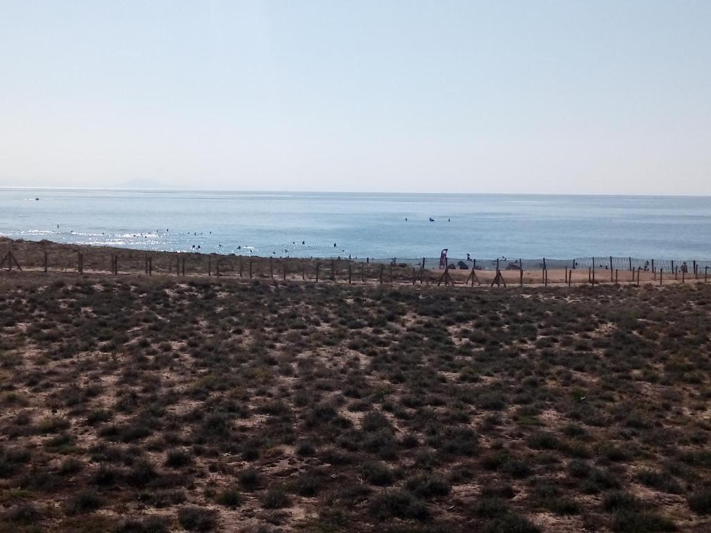 Appartement CAPBRETON face à l'océan sans vis à vis, avec piscine photo 3