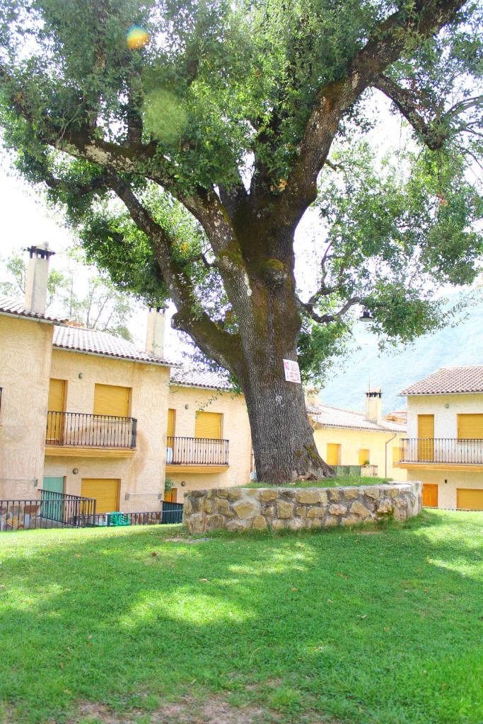Casa Guillermo photo 4