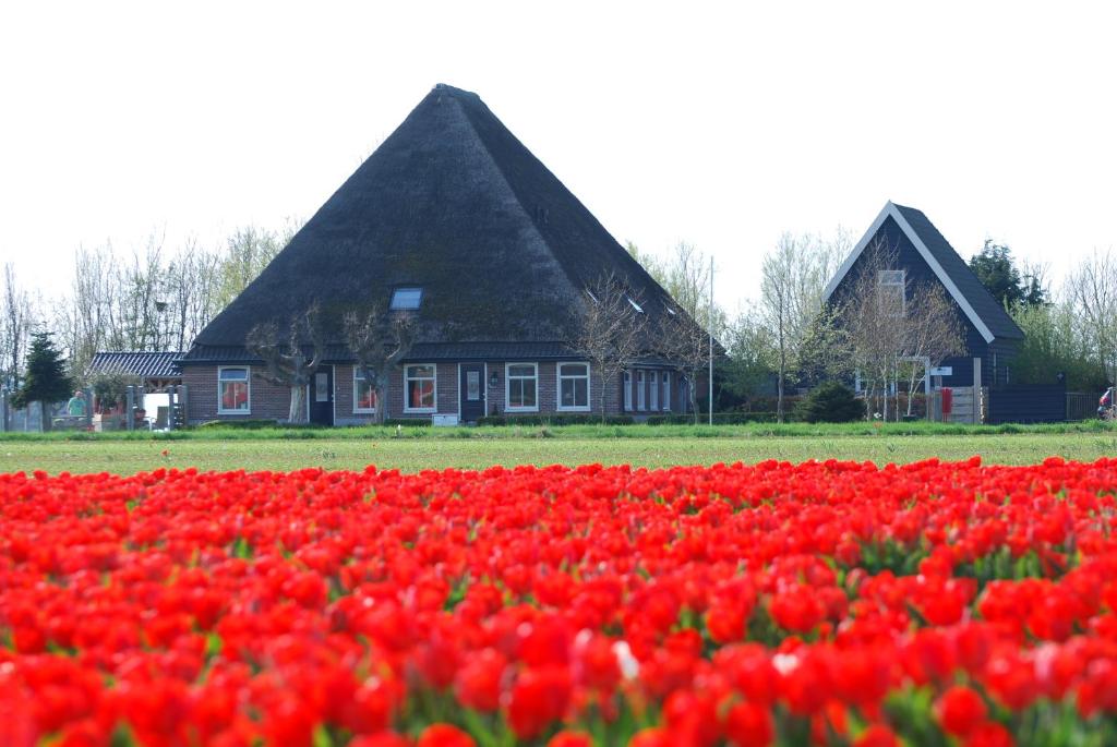 B&B Idylle aan Zee incl 2 Wellnessstudios