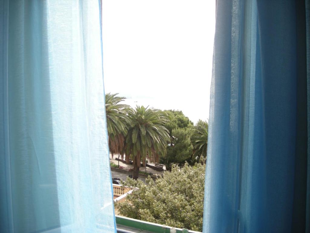 hotel albatros photo 3