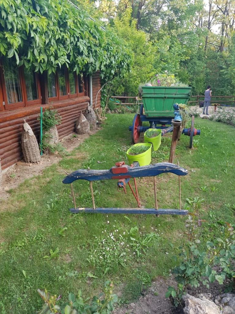 Guest House Lisinski Raj photo 4