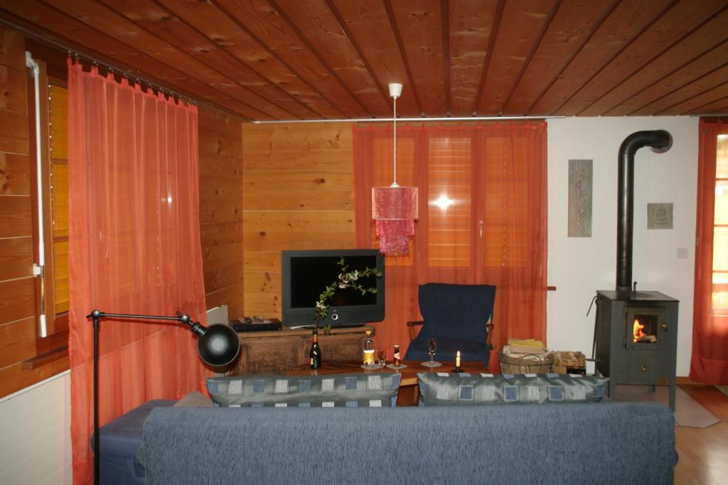 Bergdohle photo 4