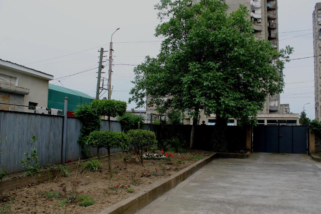 Green Guest House photo 3