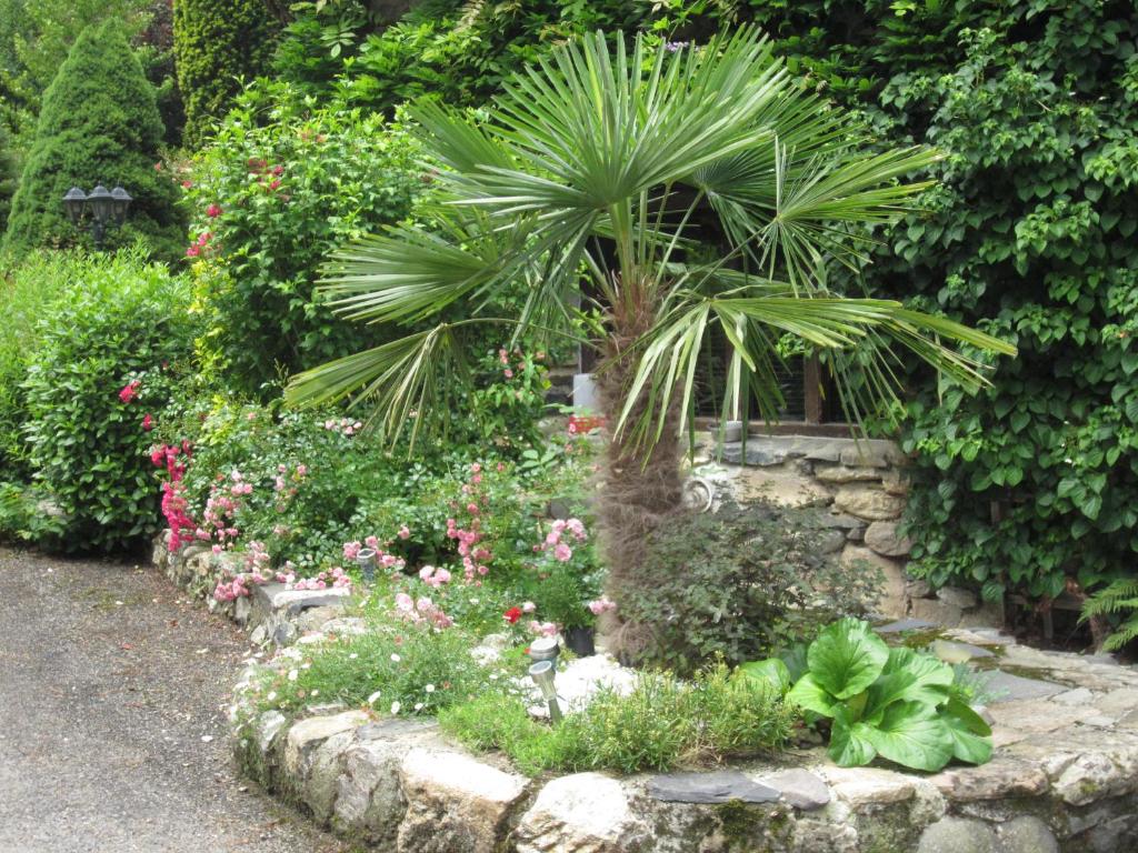 Camping jardin La Vie en Vert en Ariège photo 3