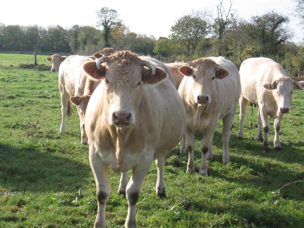 La Ferme de Montigny (Gite) photo 3