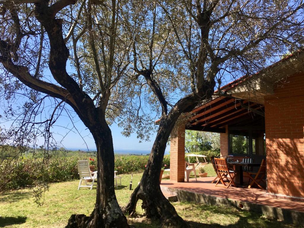 Cottage Gaia with sea view, fenced garden by ToscanaTour