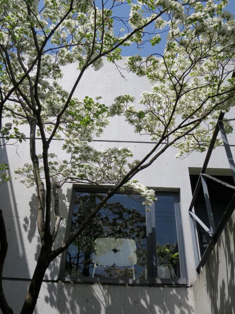 AH87 Osaka photo 2