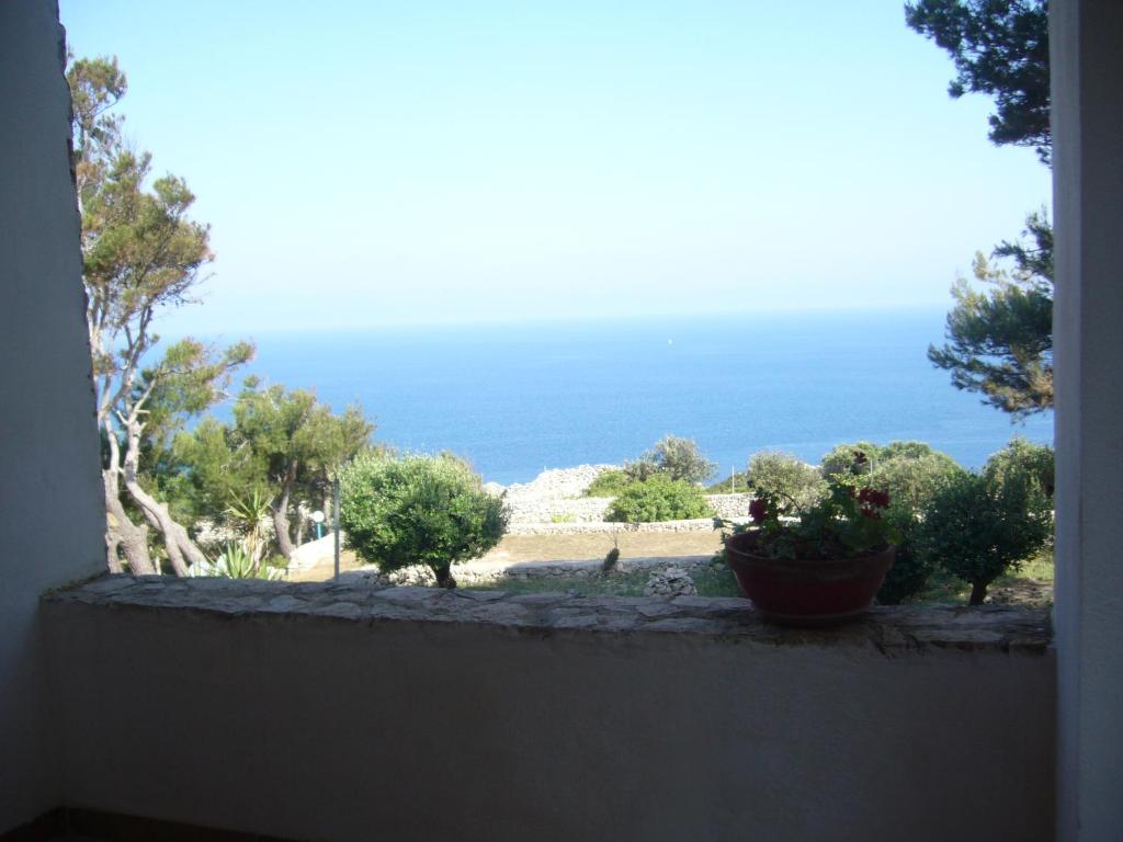 Villa Aquarium photo 1
