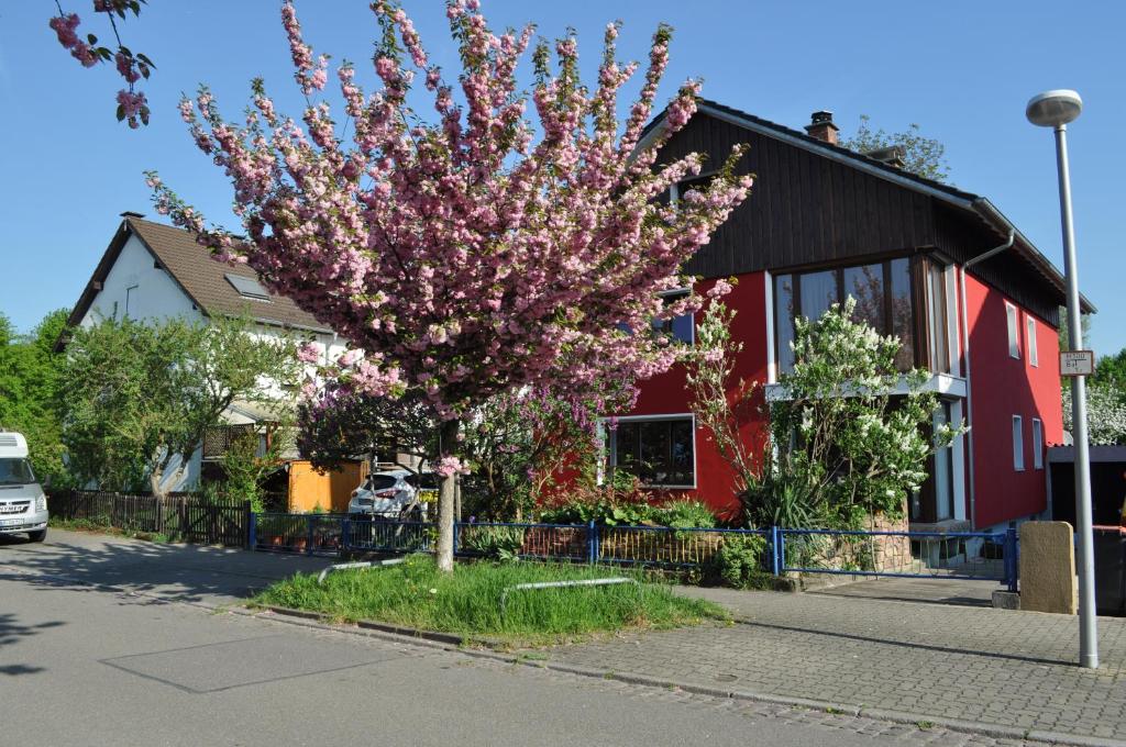 Punkrock Harbour Pension Bähr photo 1