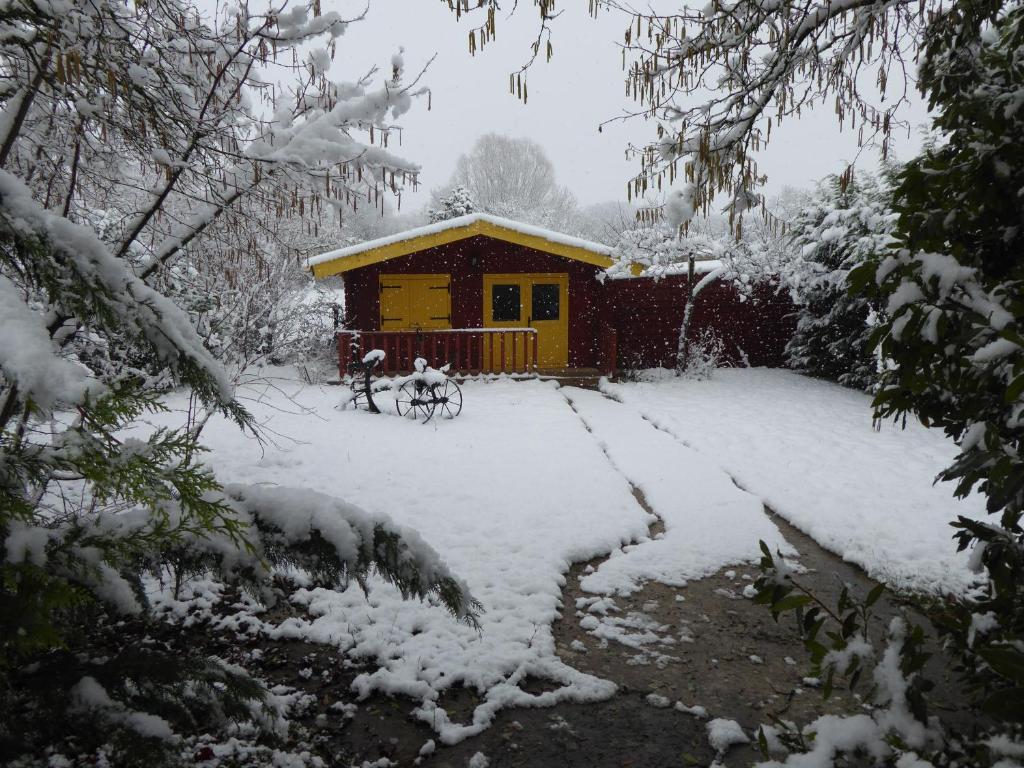 Chalet aux pied des vignes photo 4