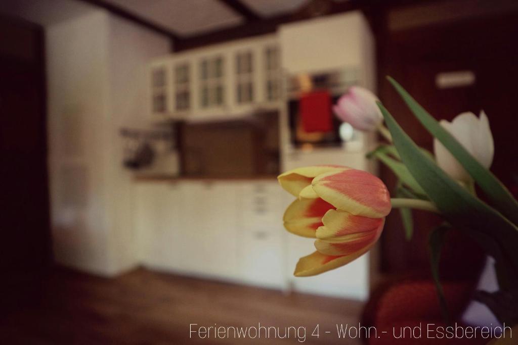 Apartment Grubenhaus20 photo 2