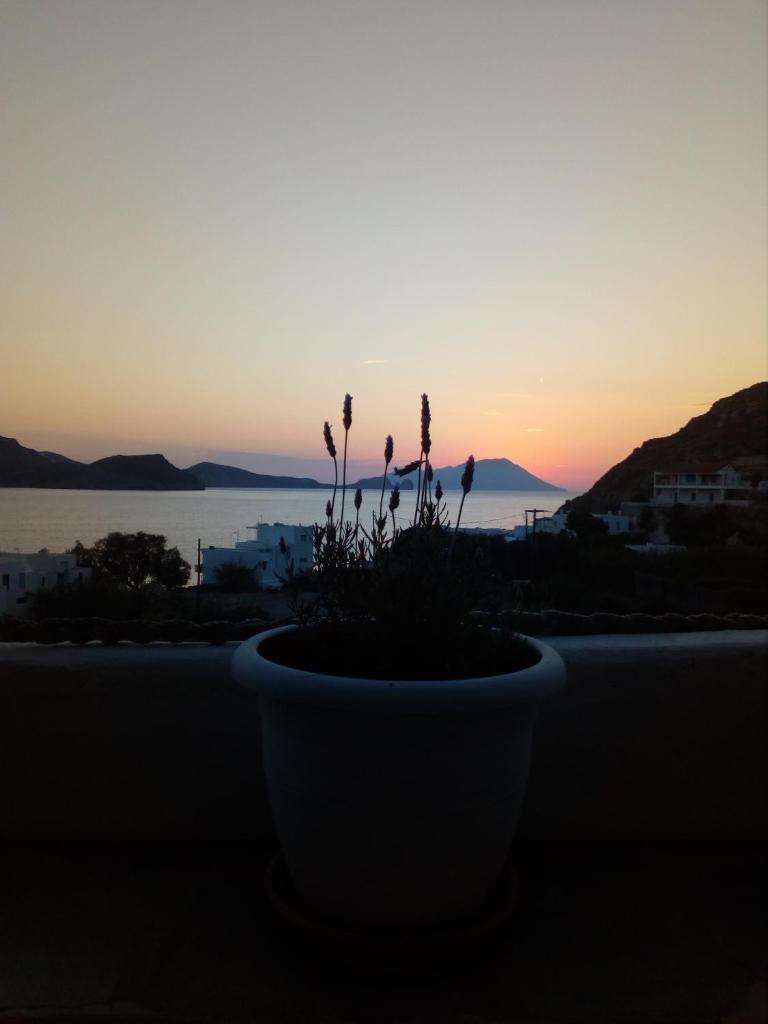 Panorama Hotel photo 1