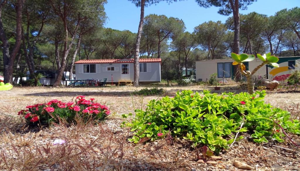 Villaggio Camping Nurral photo 1
