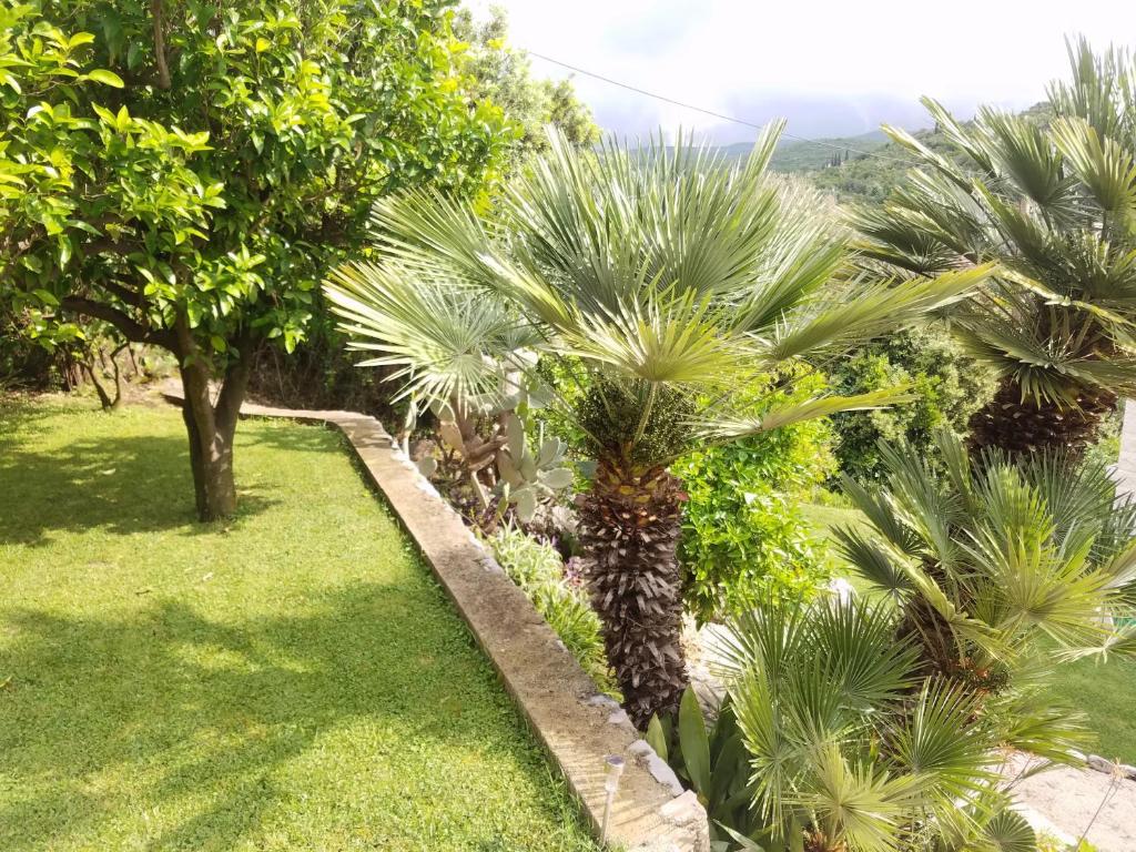 Marivo Guest House photo 4
