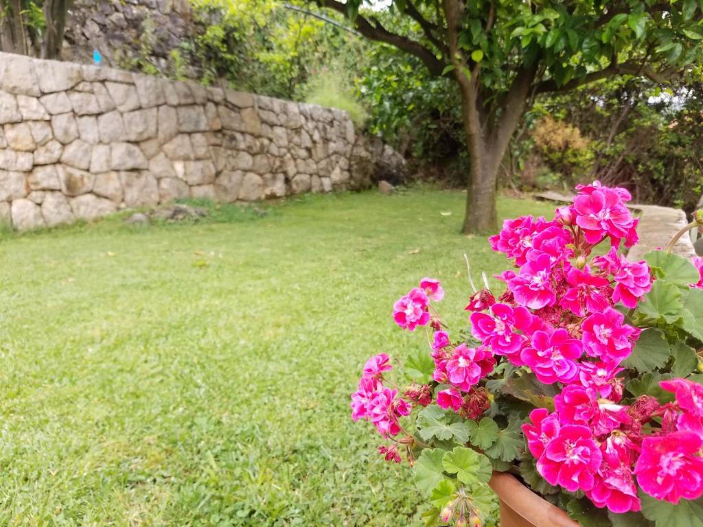 Marivo Guest House photo 3