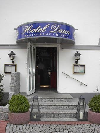 Hotel Daun photo 2