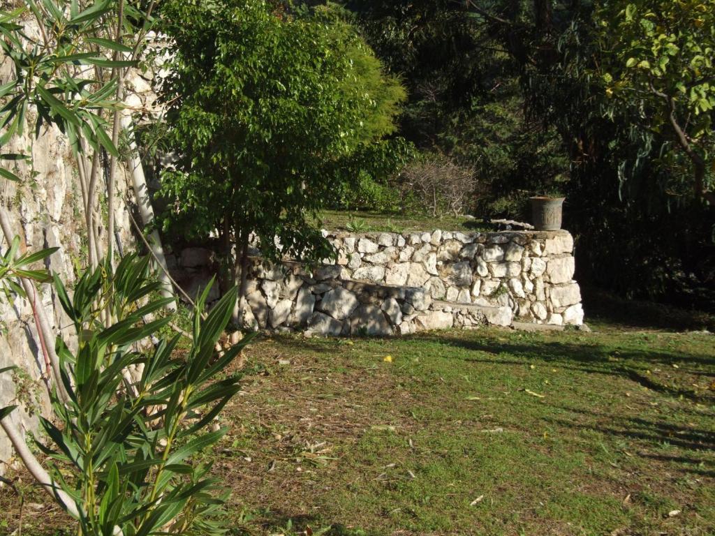 La Masa photo 3