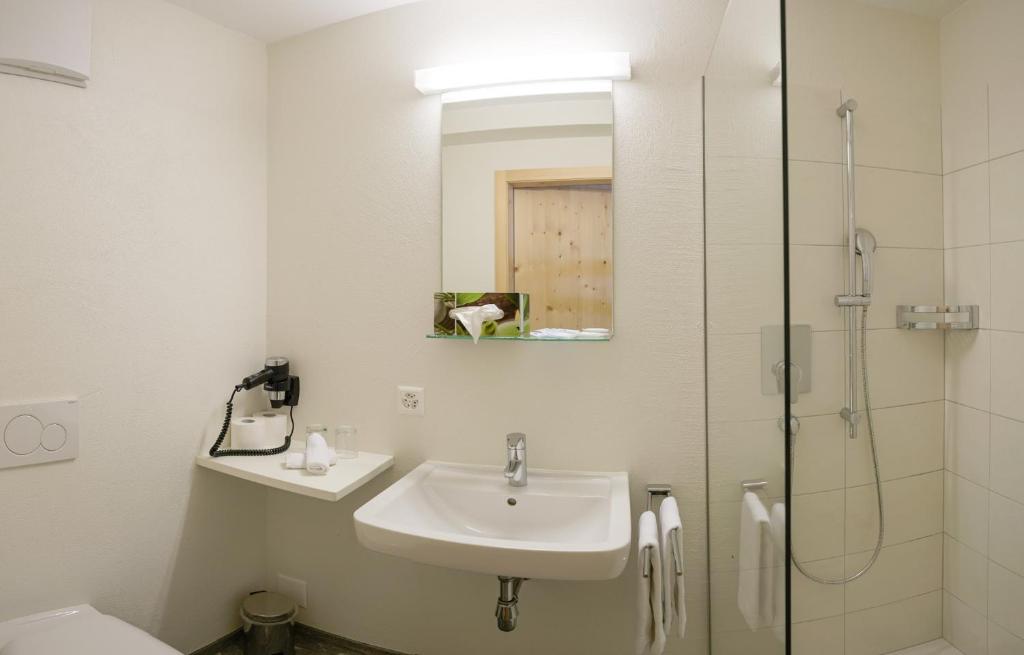 Двухместный (Стандартный двухместный номер с 1 кроватью), Hotel Steinbock