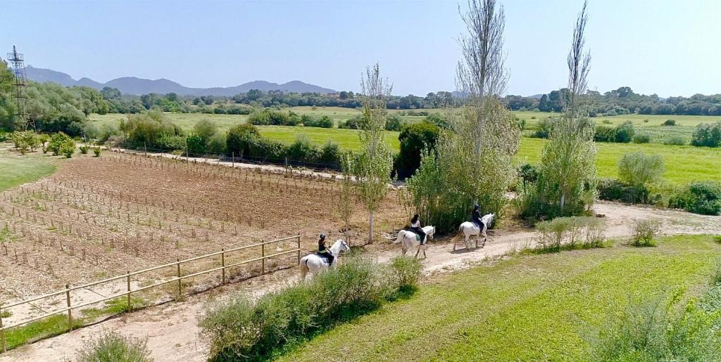 Finca Agroturismo Son Menut photo 2