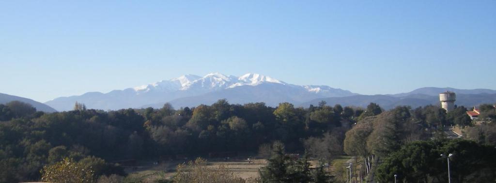 bouchonnerie à Maureillas, near Spain + Mediterranée photo 1
