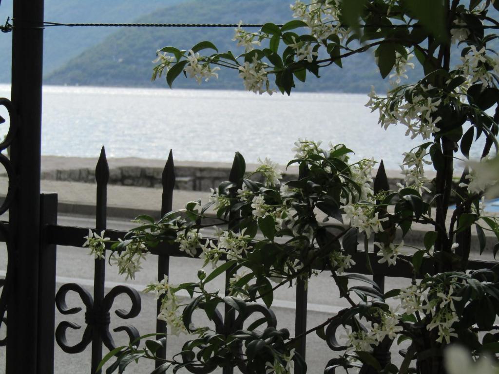 Apartments Risan photo 2