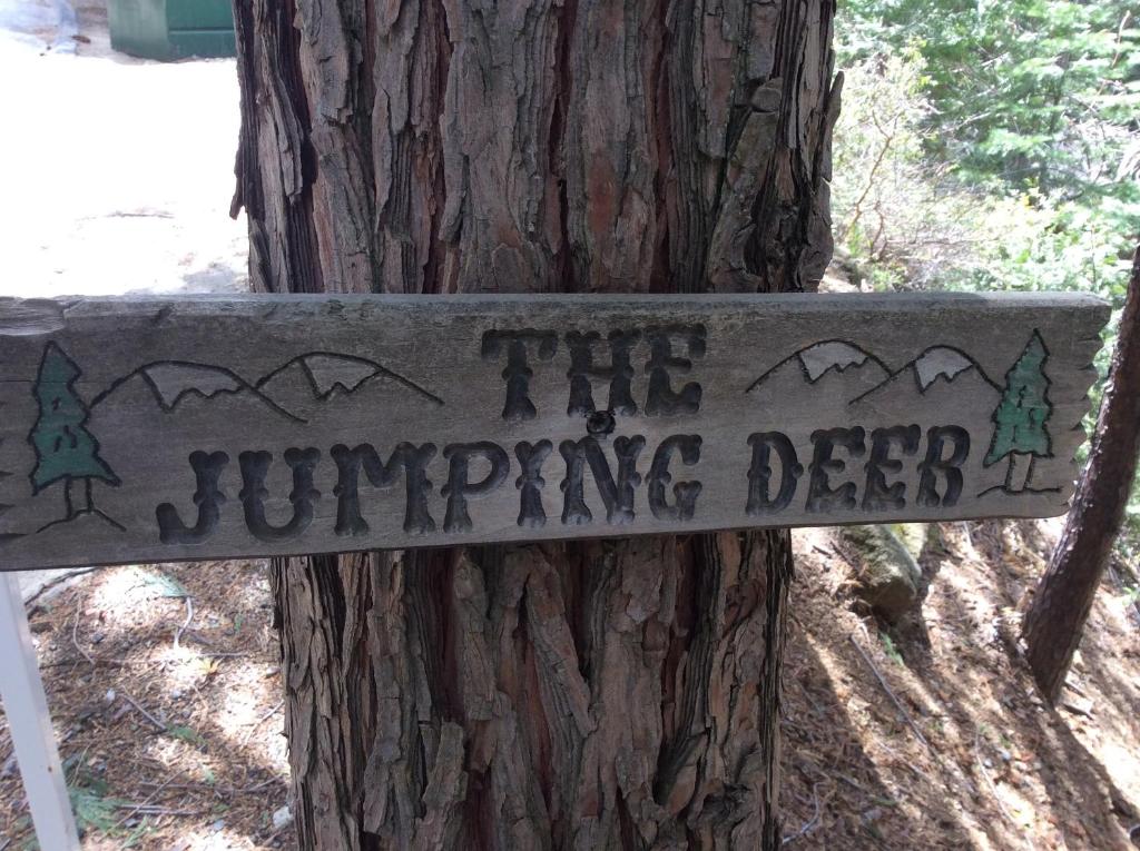 Jumping Deer photo 3