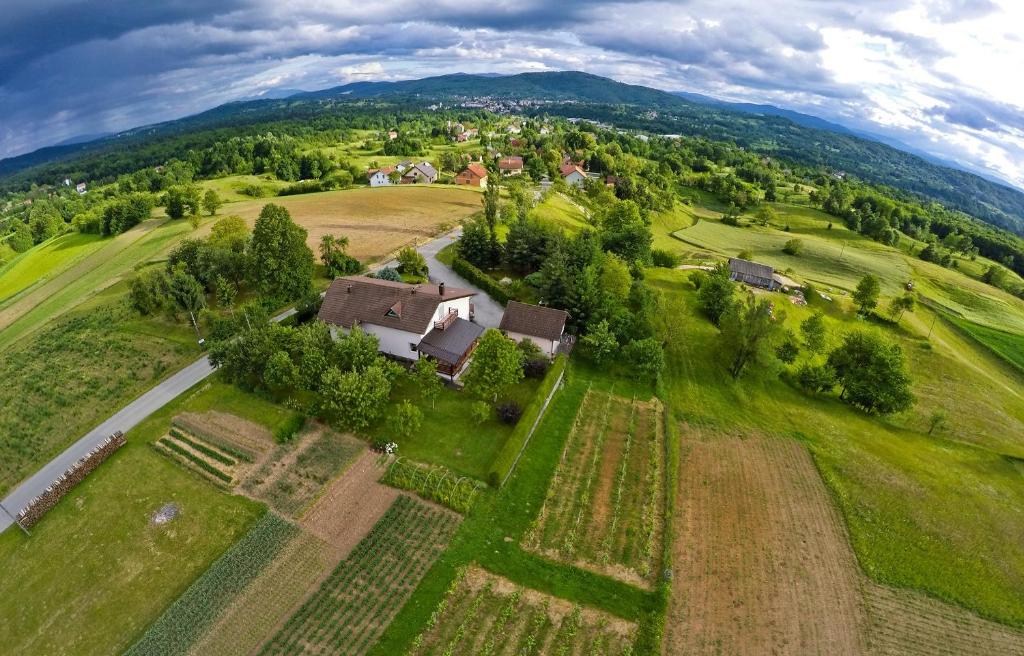 Guesthouse Obitelj Paulic photo 3