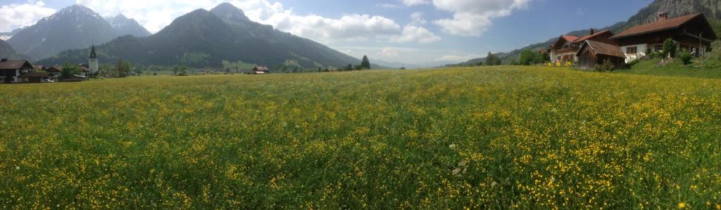 Ferienhaus in der Sonne photo 1