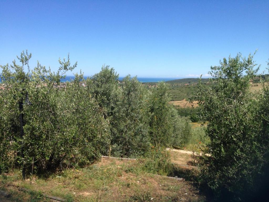 Agriturismo Le Rondini Di San Bartolo photo 1
