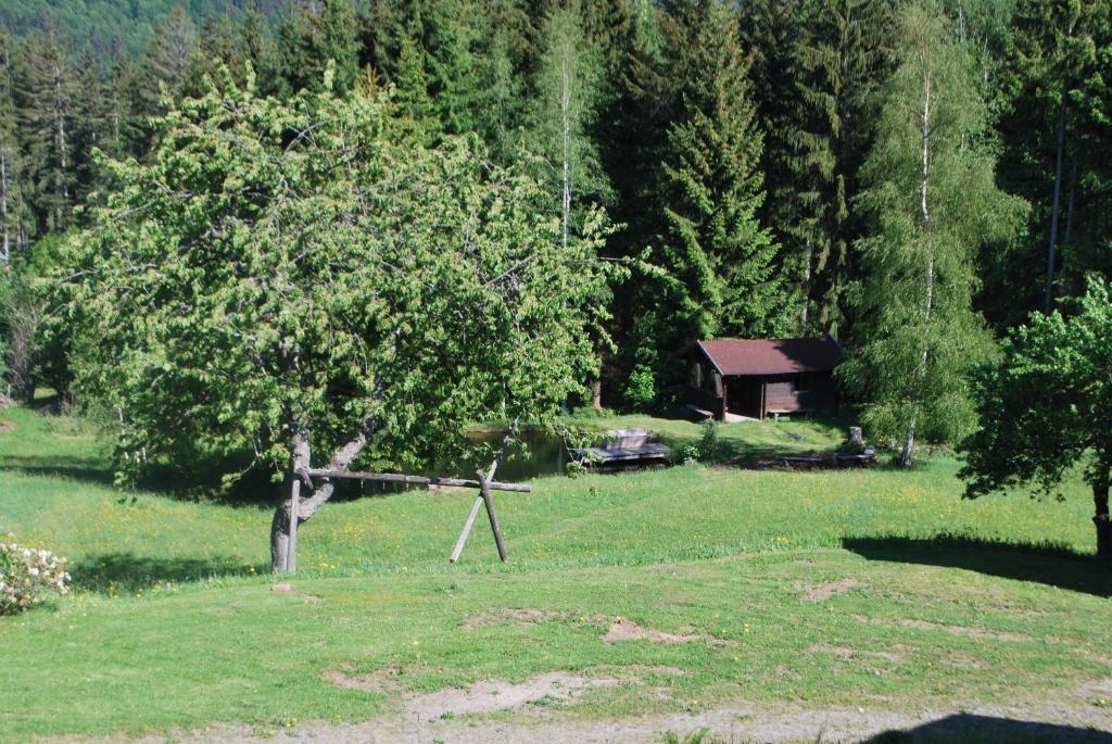 Ferienhaus "Lisa´s Häusl" photo 4