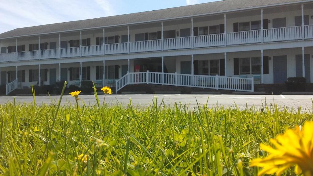 Sea Shell Motel photo 1