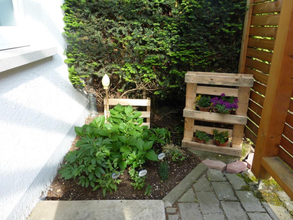 Ferienwohnung an der Kimbach 1 photo 3
