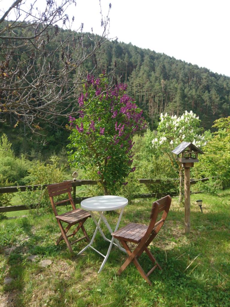 Casa Turreta photo 4