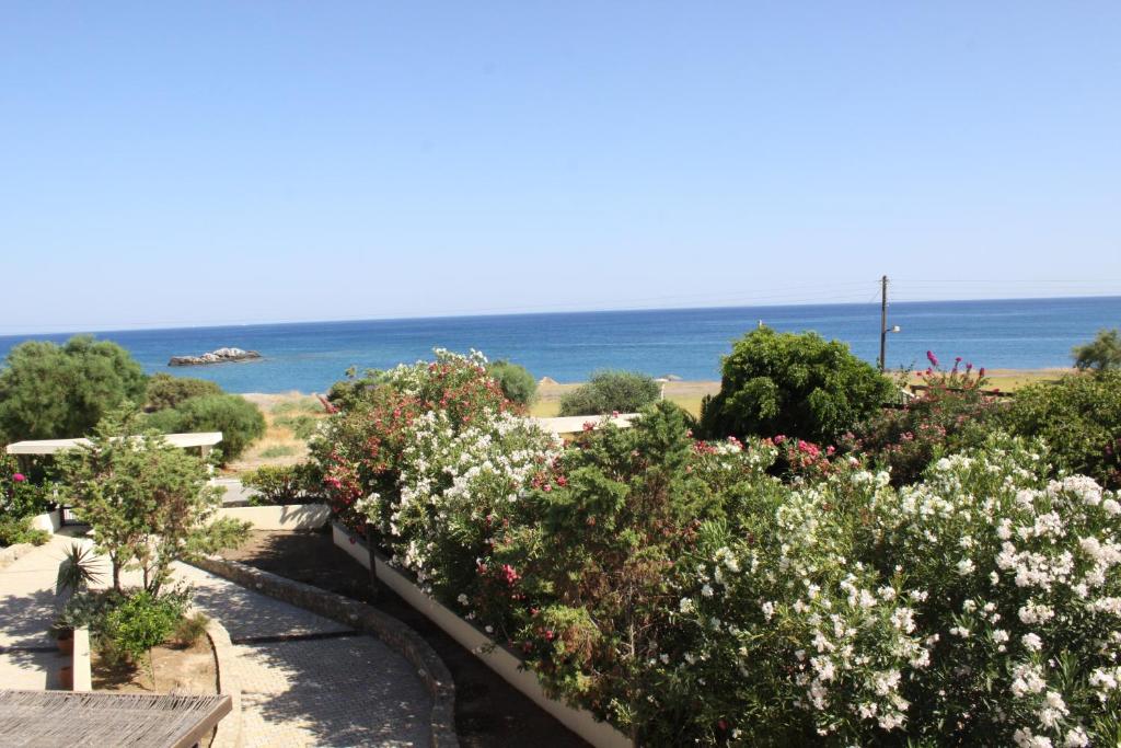 Athina photo 3