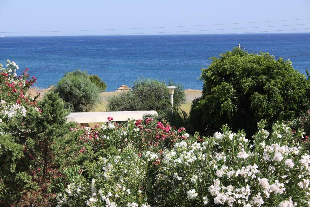 Athina photo 4