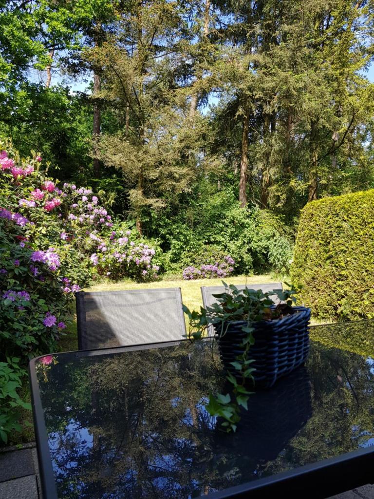Bungalow Hartje Veluwe photo 4