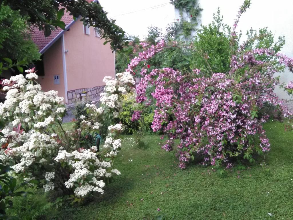 Apartment Tomašević photo 4